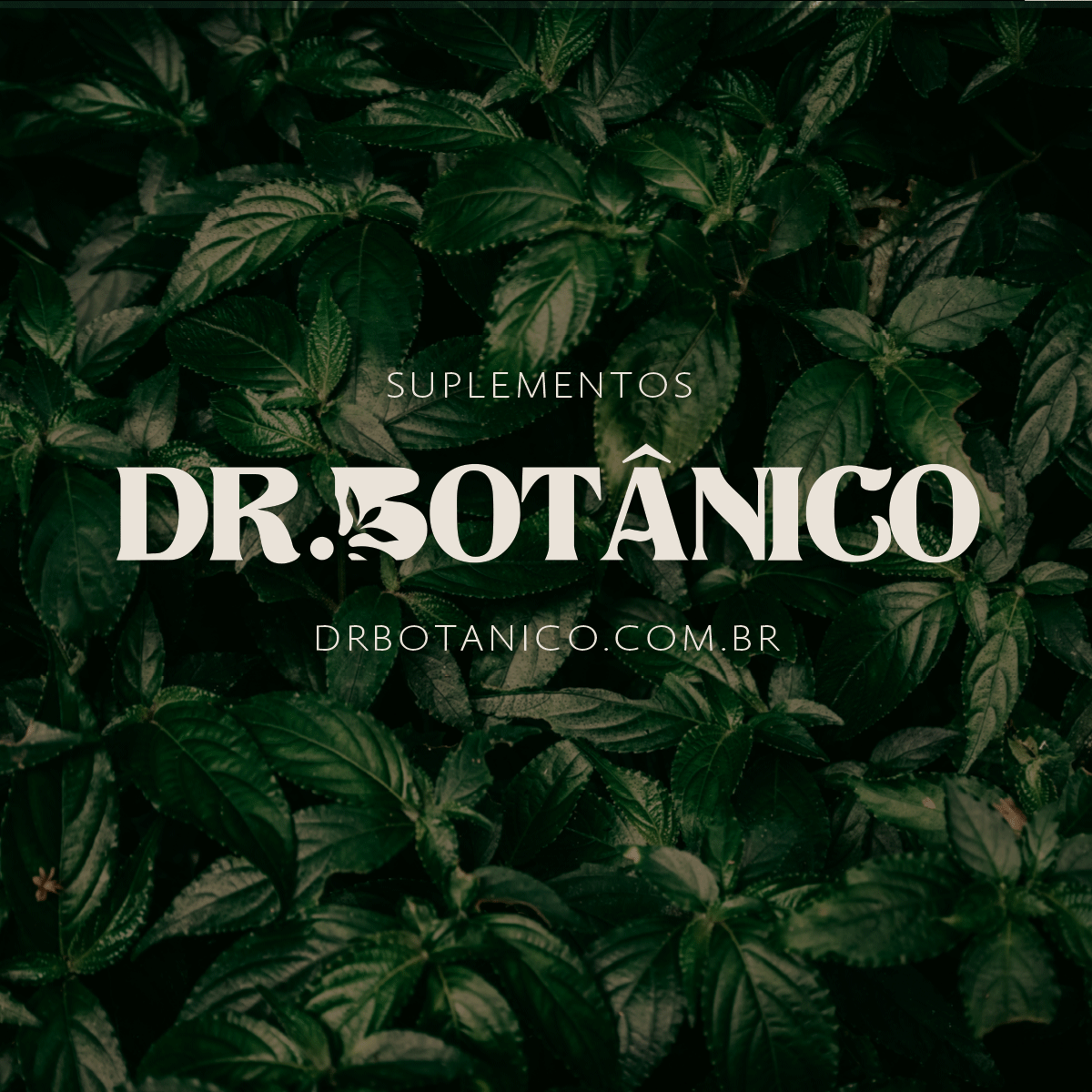 MACA PERUANA BLACK 2200MG 120CAPS - DR. BOTÂNICO